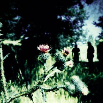 Промо-фото к Still Life, 1999.